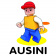Ausini